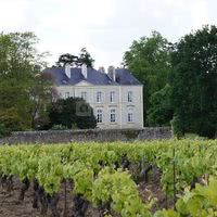 La Cour des Montys