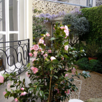 La Maison Cardon
