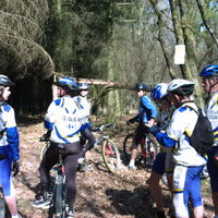 Vtt