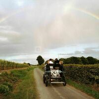 Une arrivée en calèche à votre mariage?