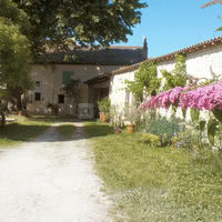 Le jardin