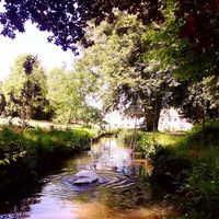 Domaine du Plessis