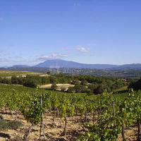 Domaine Viret