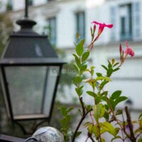 De la terrasse