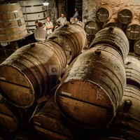 Visite des chais Rémy Martin