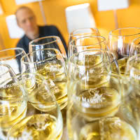 Dégustation des cognacs Rémy Martin