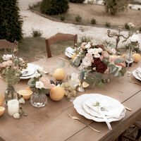 Château de la Cressonnière