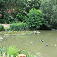 L'étang du Domaine