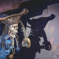 Pirates Paradise