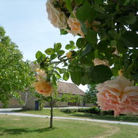 La cour intérieure