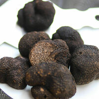 Truffes Folies 8ème