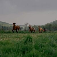 Domaine du Lieu Dieu