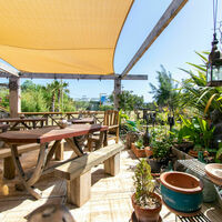 La terrasse