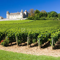 Château des Louteaux