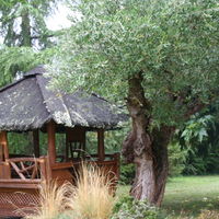 Villa des Eaux Claires