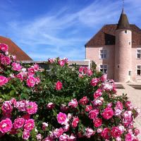 Le Manoir Equivocal
