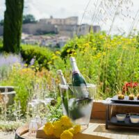 Le Clair de la Plume