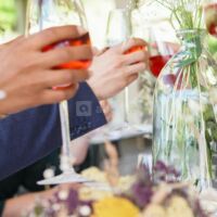 Le Clair de la Plume