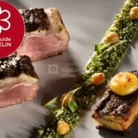 Le Clair de la Plume