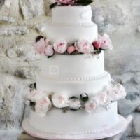 Le Clair de la Plume