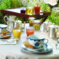 Le Clair de la Plume