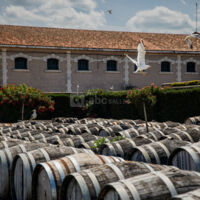 La Maison Noilly Prat