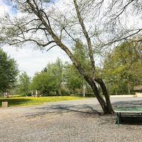 Les Étangs de la Palombière