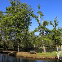 Etang de la Palombière