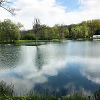 Les Étangs de la Palombière