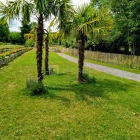 Allées et espaces verts