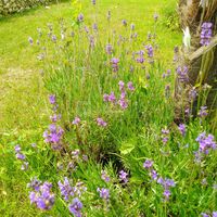 Domaine le Vieux Moulin