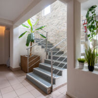 Domaine le Vieux Moulin