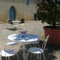 A l'ombre des magnolia en pots géants !