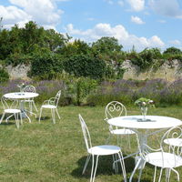 Dépaysement assuré avec les lavandes bleues !