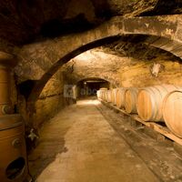 La caves à vins