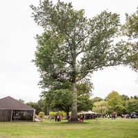 Domaine de Petite Ville