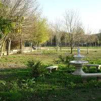 Alize Saint Victor