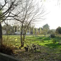 Alize Saint Victor