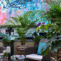 Urban Patio Terrasse