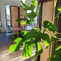 Booster House Coworking