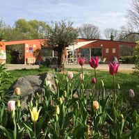 Camping de l'étang des Forges