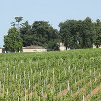 Château de Ferrand