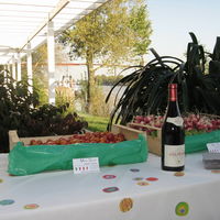 Loire Patio Buro