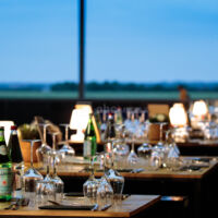 Pure Experience By Bo Ranch