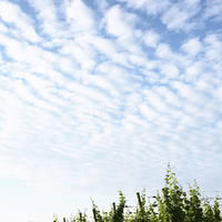 Domaine du Bollenberg
