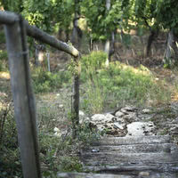 Domaine du Bollenberg