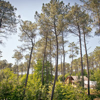 Les Chalets de l'Oust, environnement