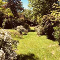 Mont-Riant