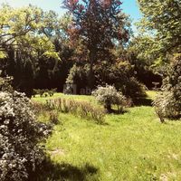 Mont-Riant