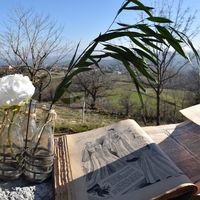 Vue pour le vin d’honneur